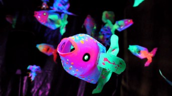 OLIVER BEHRMANN - FISHING ON THE HILL 2018.jpg